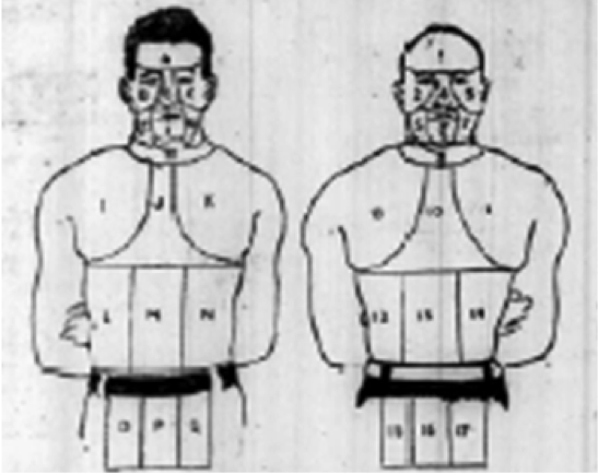 Figure 3. Diagram of the body segments used for the analysis of the Fitzsimmons versus Corbett fight