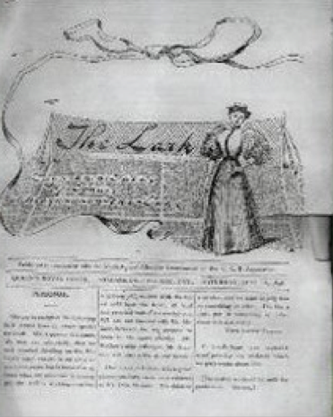 Plate 4. The Lark