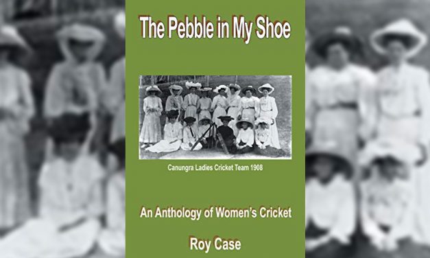 The Pebble in My Shoe by Roy Case